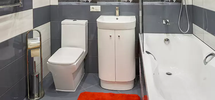 Hansgrohe Shaving Mirror Franconia